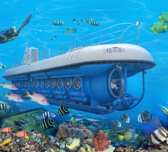 Whale Submarine