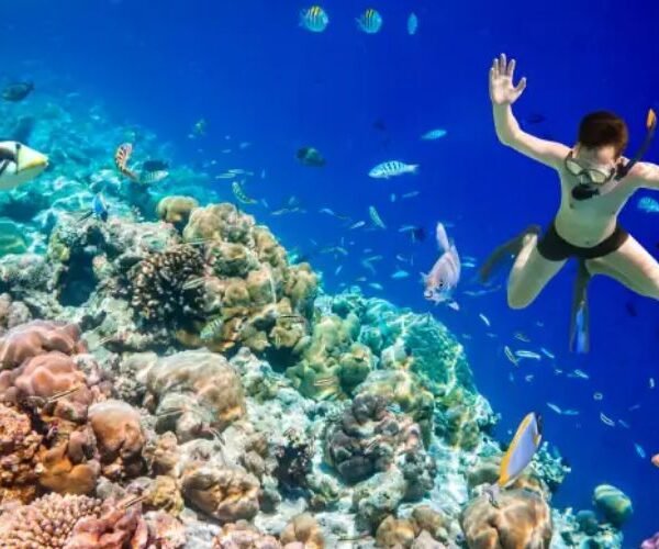 Snorkeling in Maldives