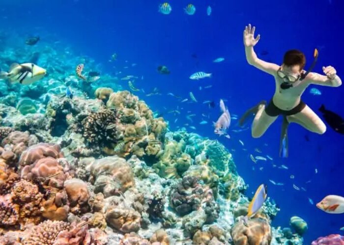 Snorkeling in Maldives