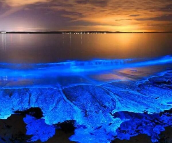 glowing beaches in maldives