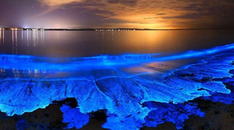 glowing beaches in maldives